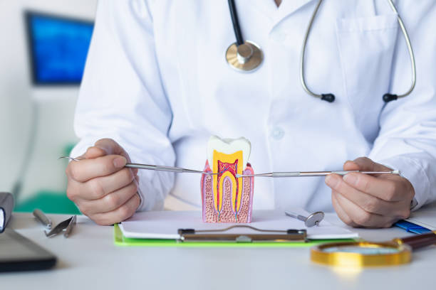 Best Weekend Emergency Dentist in St James, NC